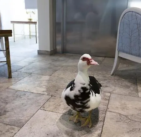 Mercure Sur Lot Moulin De Madame ホテル ヴィルヌーヴ・シュル・ロット