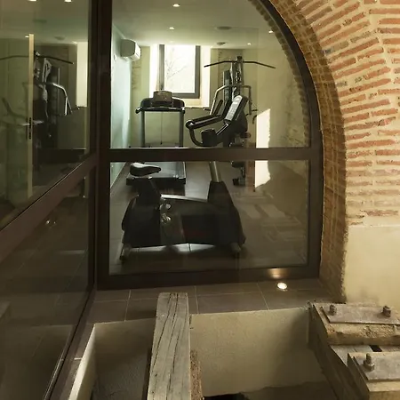 Mercure Sur Lot Moulin De Madame فندق فينوف سور لو