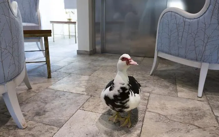 Mercure Sur Lot Moulin De Madame Hotel Villeneuve-sur-Lot